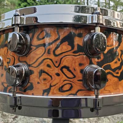Mapex Orion 2008 - Chocolate Burl image 4