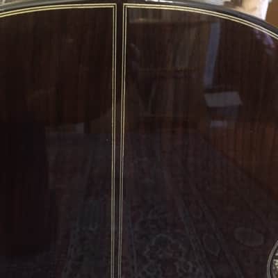 Hill New World Classical Guitar w/Elevated Fingerboard-Brand New! image 11