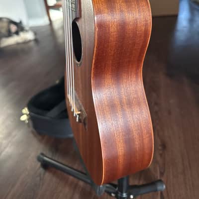 Cordoba Protege Ukelele Uke 2015? - Wood Nice Case Stand Like New image 12