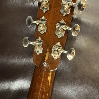 Immagine Collimgs D-2H AT 2020年代 - Gloss - 7