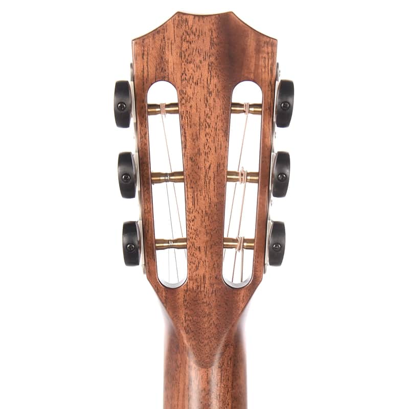 Taylor 312e 12-Fret with V-Class Bracing image 7