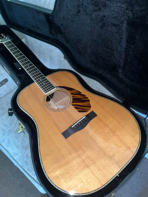 Fender Paramount PD-220E