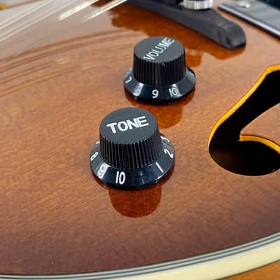 A-Style 8-String Acoustic-Electric Mandolin with Built-In Pickup, Gig Bag & Accessories image 6