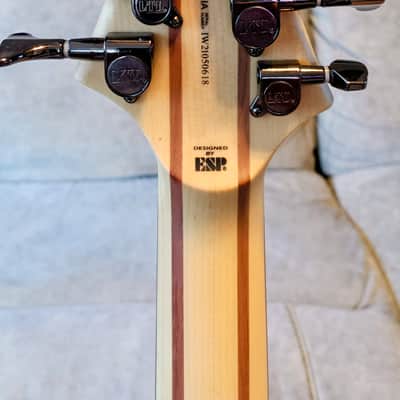 ESP LTD B-208SM 2019 - Present - Spalted Maple - Natural Satin image 6