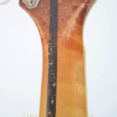 Barry Ford F-Style Bluegrass Mandolin image 20