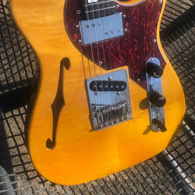 Vibratone Tele owned by Luther Dickinson image 2