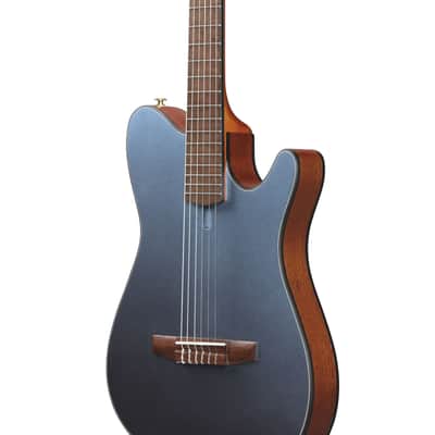 Ibanez FRH10N-IBF - 4/4 classical guitar image 4