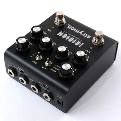 STRYMON Iridium Amp & IR Cab [S20-57768] (06/05) image 4