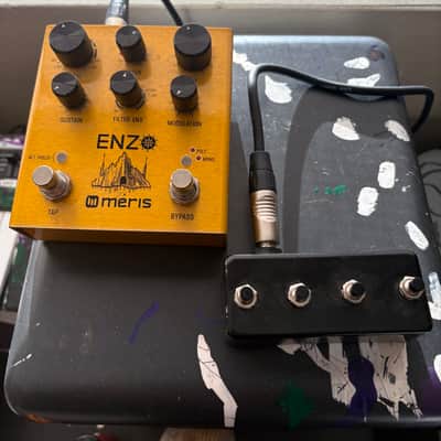 Meris Enzo w/ Footswitch 2021 - Gold image 1
