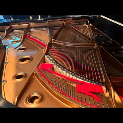 Immagine Majestic Semi-Concert Grand: Mason & Hamlin Model BB - 9