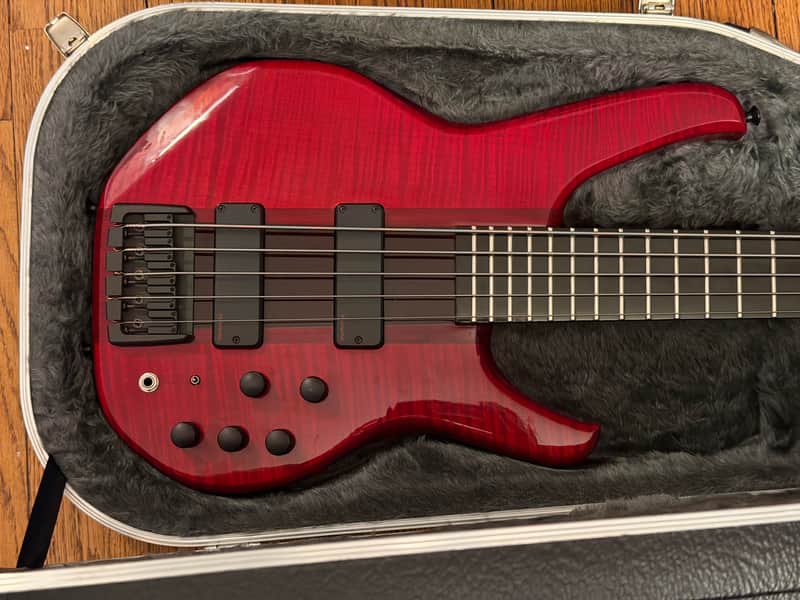 Status Graphite Empathy 5 String Electric Bass with Hard Case image 1