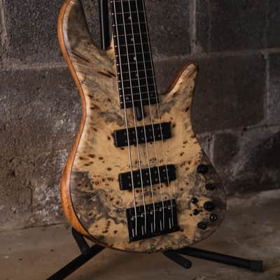Fodera Emperor 5 Standard Special Buckeye Burl Butterfly (End-2024) image 2