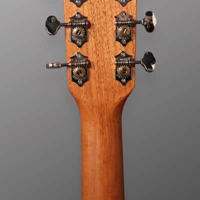 Grez Mendocino F - 2023 - Matt Black w/ Fralin Mini Humbuckers & TK Smith vibrato. NEW (Authorized Dealer) image 12