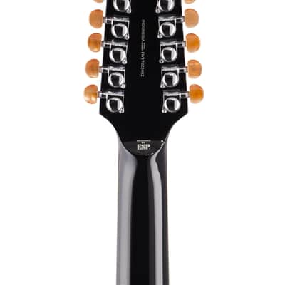 ESP LTD TL-12 Thinline 12-String Acoustic Electric Guitar Black image 7