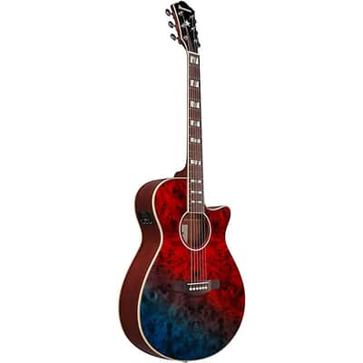 Ibanez - AEGA250 250th Anniversary - Acoustic-Electric Guitar (AEGA250) image 3