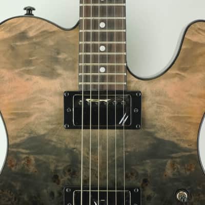 Schecter PT Standard Black Fade Burst Burl image 8