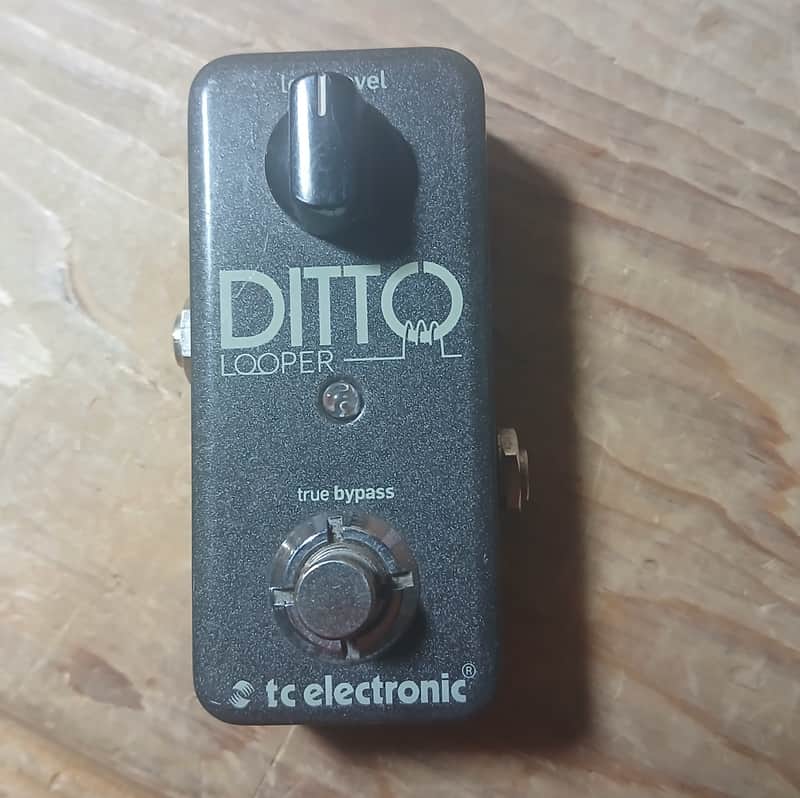 TC Electronic Ditto Looper 2013 - Present - Black image 1