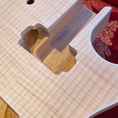 Precision Guitar kits Les Paul image 11