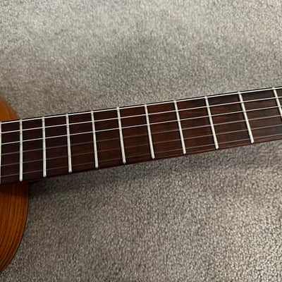 Vintage 1979 Giannini AWN 71 Classical Acoustic Guitar Brazilian Rosewood image 6