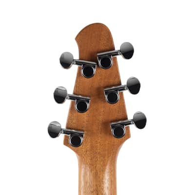 Used Powers Electric A-Type Standard PF42 CamTail - Chroma Chameleon image 7