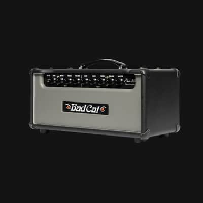 Bad Cat Era 30 Mark Sampson's 30-watts Head Amp - Gray image 3