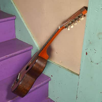 1920s Regal Spruce/Mahogany Tiple Ukulele (CGDA Strung) (VIDEO! Work Done, Ready) image 13