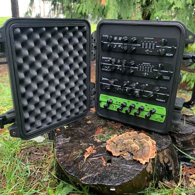 Burns Delta Model 4 Slot Case, Black, Synergy Randall Egnater MTS Preamp Modules image 8