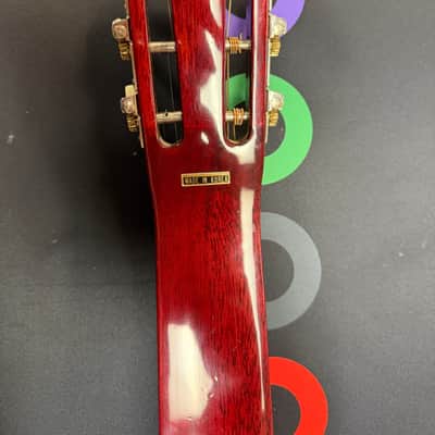 1999 Regal Square Neck Guitar with Case image 2