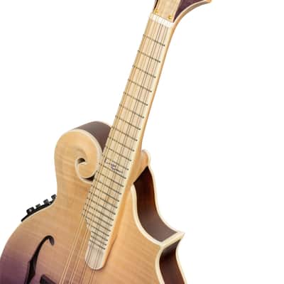 Ortega RMFE200PF Americana Series F-Style Solid Flamed Maple Top Maple Neck 8-String Acoustic-Electric Mandolin w/Croco Leather Case image 8