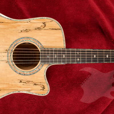 B.C. Rich Acoustic Cutaway 6 -String - Spalted Maple - W/Matrix Infinity VT & Hardcase image 2