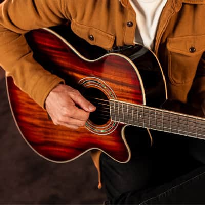 Washburn EA55G Festival Acoustic-Electric Guitar (Koa Burst) *USA Small Business* image 2