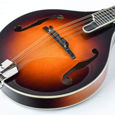 Eastman MD805 Sunburst image 11