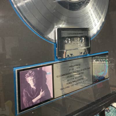 Stan Lunch Don Henley, RIAA, Building the Perfect Beast, Platinum Record (#1) image 5