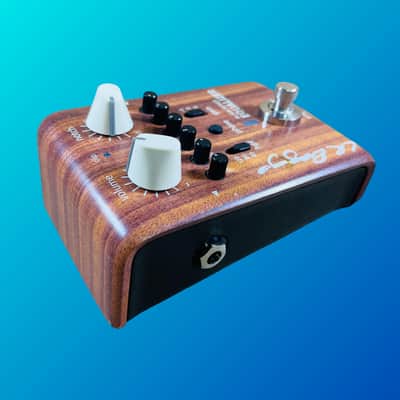 LR Baggs Align Equalizer Bild 4