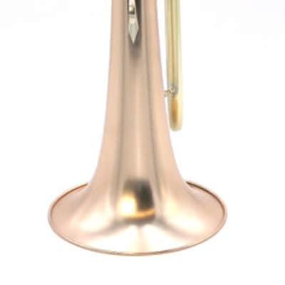 Pre-Owned Adams F1 Custom Series Flugelhorn in Satin Lacquer image 6