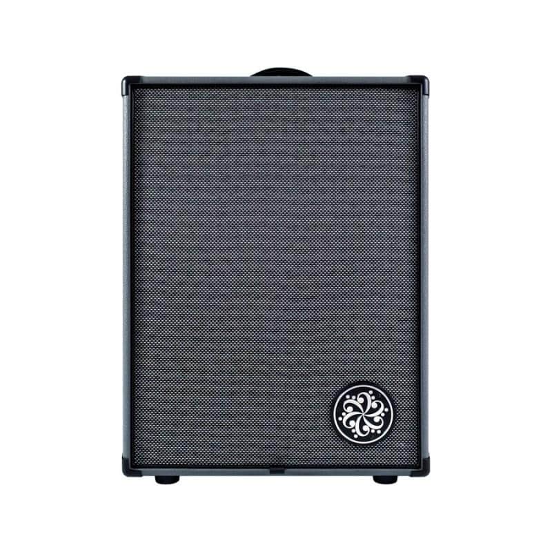 Darkglass   D210 A Bass Combo 2 X10 image 1