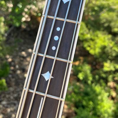 Teye Super Coyote Electric Gypsy Bass with Dragon Protector Plate image 8