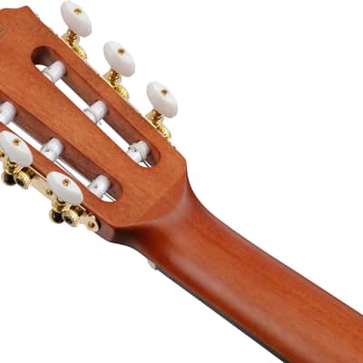 Ibanez FRH10NRGF Thinline Nylon Acoustic-Electric Guitar Rose Gold Metallic Flat image 9