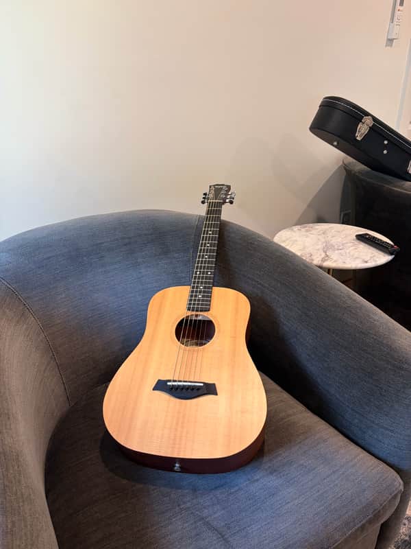 Taylor Baby Taylor (BT1)