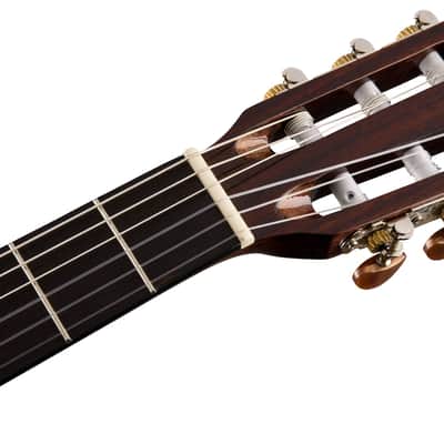 FENDER - CN-140SCE Nylon Thinline Walnut Fingerboard Natural w/Case - 0970264321 image 6