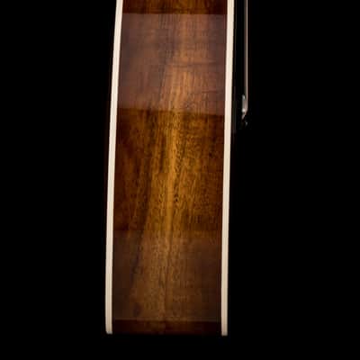 Taylor 214ce-K DLX Special Edition - Honeyburst #05550 (NAMM 2026) image 6