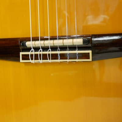 Immagine Epiphone Chet Atkins CEC Nylon String Acoustic Classical (w/OHSC) - 12