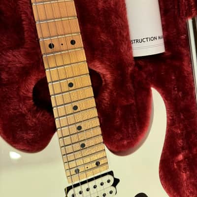 Ibanez PGM301-WH 2008 Paul Gilbert Signature with Maple / Walnut Neck 2005 - 2008 - White image 5