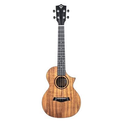 Twisted Wood Switchback Concert Ukulele - Solid Koa Top - SW‑700C image 1