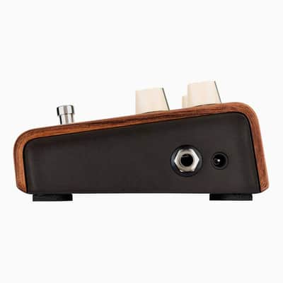 L.R. Baggs Align Series Acoustic Guitar Reverb Pedal image 4