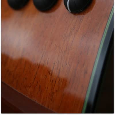 Taylor TAYLOR "Custom GS 12 Build to order LIMITED EDITION" (SECOND HAND) image 14