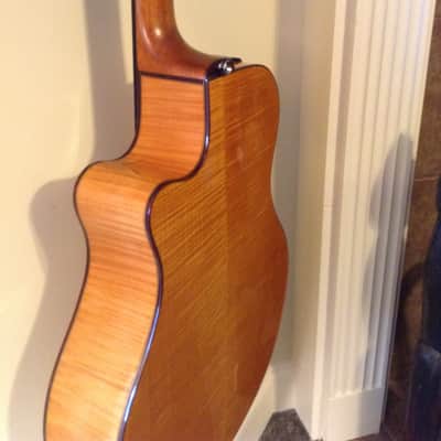 2015 YAMAHA NTX 900 FM  classical crossover guitar image 6