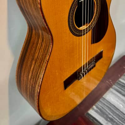 Buscarino Cabaret Custom Nylon String Classical Used (2014) image 3