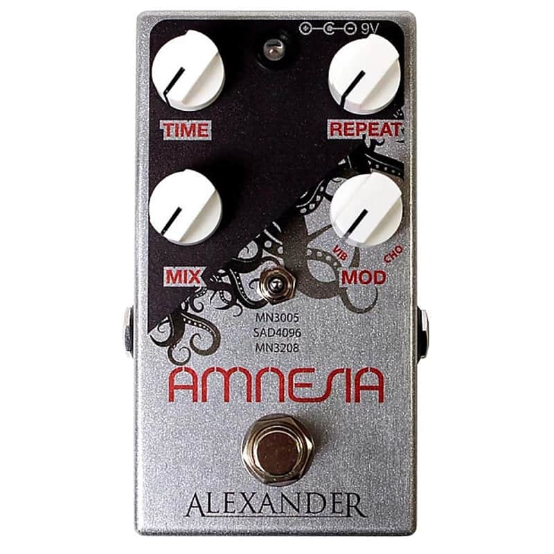 Alexander Pedals Amnesia Vintage Delay image 1
