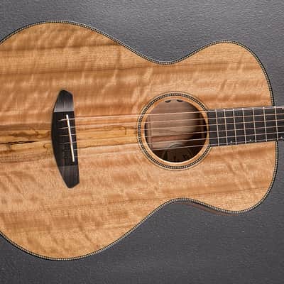 Breedlove Oregon Concertina E, Recent image 1